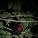 Photo taken by Bonnie Y