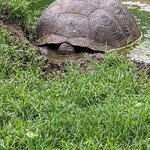 Photo taken by Jennifer A