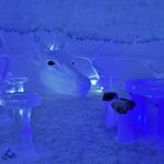 Photo taken by Pat W