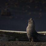 Photo taken by SANDRA V