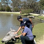 Photo taken by Kolla S