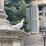 Photo taken by Ashley S