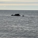 Photo taken by Pamela C