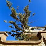 Photo taken by Jill T