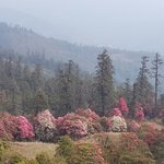 Photo taken by George A