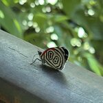 Photo taken by Sandra B