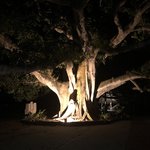 Photo taken by Juliette S