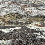 Photo taken by Carrie A