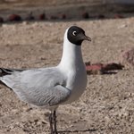 Photo taken by Mariellen S