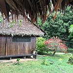 Photo taken by Ayca A