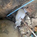 Photo taken by Ricky B