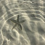 Photo taken by James W