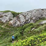 Photo taken by Drew M