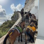 Photo taken by Rachael S