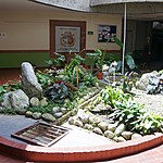 Photo taken by Janice B