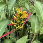 Photo taken by Kara H