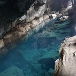 Photo taken by Andrew Z