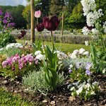 Photo taken by Audrey F