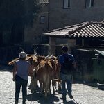 Photo taken by Julie G