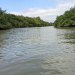 Photo taken by Tom K