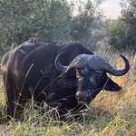 Photo taken by rhonda c