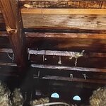 Photo taken by Jack K