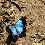 Photo taken by rebecca t