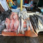 Photo taken by Todd M