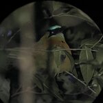 Photo taken by Chris G