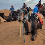 Photo taken by Hayley B