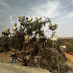 Photo taken by Victoria L