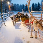 Photo taken by Moses K