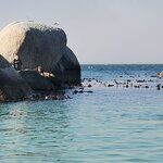 Photo taken by Crystall P