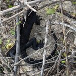 Photo taken by mimi s