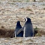 Photo taken by Pam F