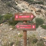 Photo taken by Victoria P