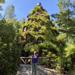 Photo taken by Mike C