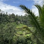 Photo taken by Kim L