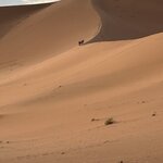 Photo taken by Nigel R