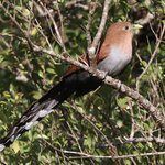 Photo taken by Joyce C