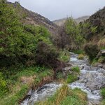 Photo taken by Trent G