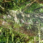 Photo taken by Brett F