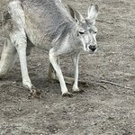 Photo taken by Susan C