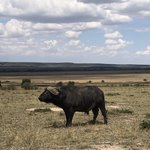 Photo taken by Virginia H