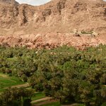 Photo taken by Indra S