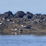 Photo taken by Sue M