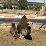 Photo taken by Jim M