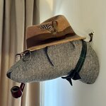 Photo taken by Darcy G