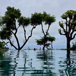 Photo taken by Nancy P