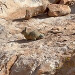 Photo taken by Collins M